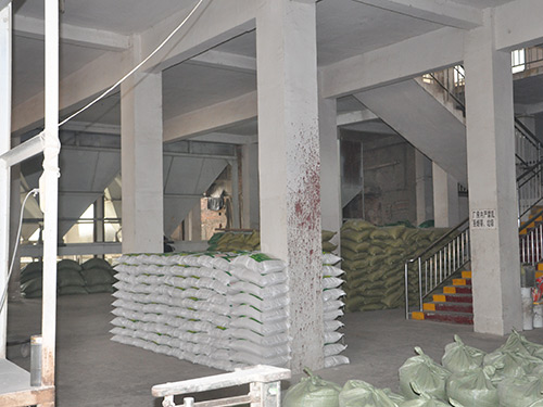 金典風(fēng)采5